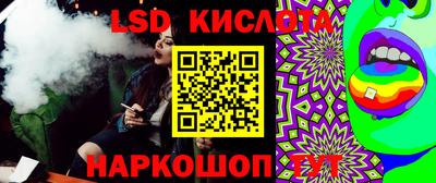 прущие грибы Пенза