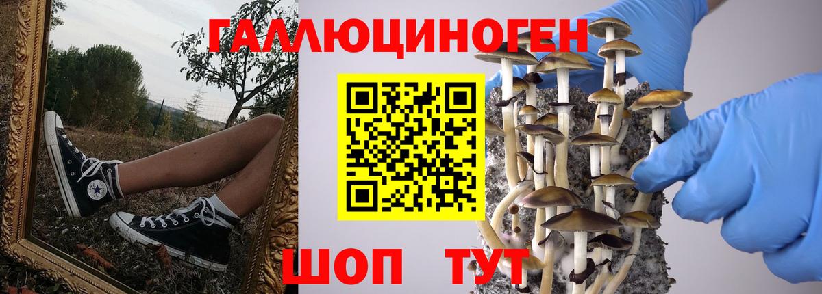 Свободный  Псилоцибиновые грибы мицелий  Псилоцибиновые грибы MAGIC MUSHROOMS  Вход с VPN 